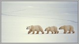 by Harry Eggens