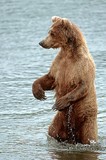 by Harry Eggens