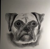 by JD Pearce