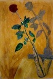 by Magdalena Zovkic