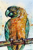 by Vaso Peritos