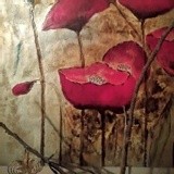 by Brenda Webb Winters