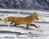 by John Houle