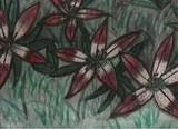 by carla Whitham (Vigneau)