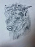 by Ariella Belau