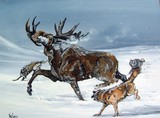 by Merideth Van Every