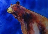 by Donna PierceClark