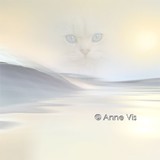 by Anne Vis