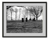 by Paul Sandilands