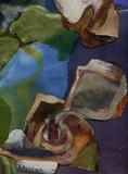 by nancy lissaman