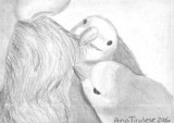 by Ana Tirolese
