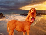 by Laurie Brookes