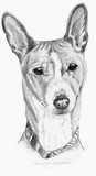 by Pattie Schey