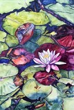 by Caroline A. Doucette