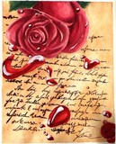 by Stefanie Führmann