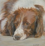 by Belinda Matthews