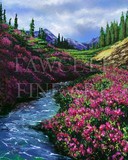 by Randy Fawcett