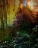 by maggie Barra
