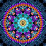 by Orchid Mandala