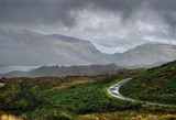 by DAVID GRIFFITHS