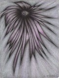 by Shawn McDonald