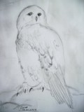 by eliise 