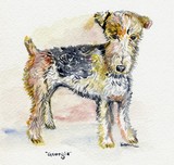 by Kemlyn Tan Bappe