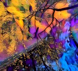by Geoff Gove