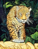 by Doni Kendig