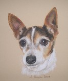 by Joanne Simpson-Connor