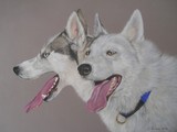by Joanne Simpson-Connor