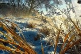 by VELYKIO - gintautas velykis -