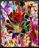 by Barry Huyett