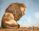 by David Ayling