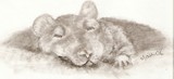 by Maureen Blakeley