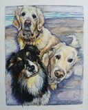 by michelle legere