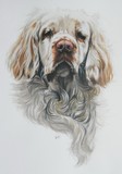 by Barbara Keith
