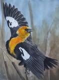 by Barbara Keith