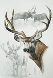 by Barbara Keith