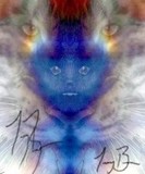 by TOMMY  BEAVER