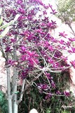 by cuzco cuzco