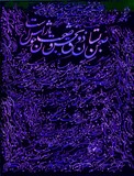by Shahram  S. Nahavandi