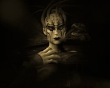 by Petra Vos