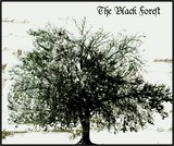 by Maarten 