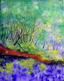 by Donna Taylor