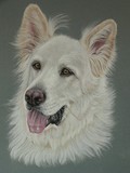 by Sue Clinker