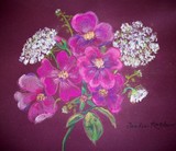by Sandra McClure