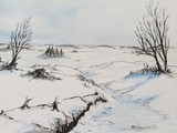 by jill madgwick