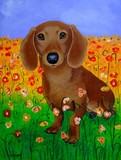 by Carol Lynn Iyer
