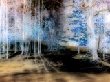 by dale mosher